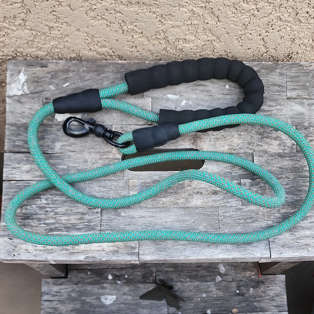 Dog Leash Green
